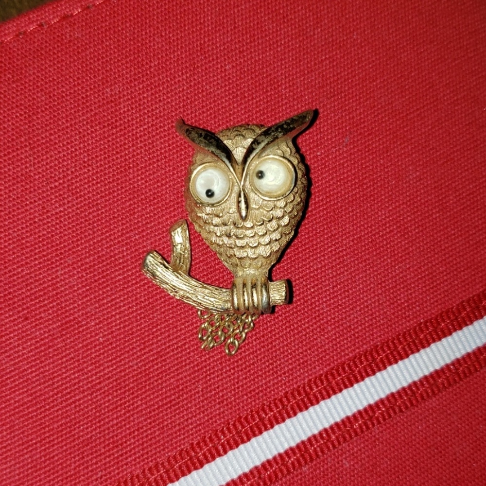 Owl pin